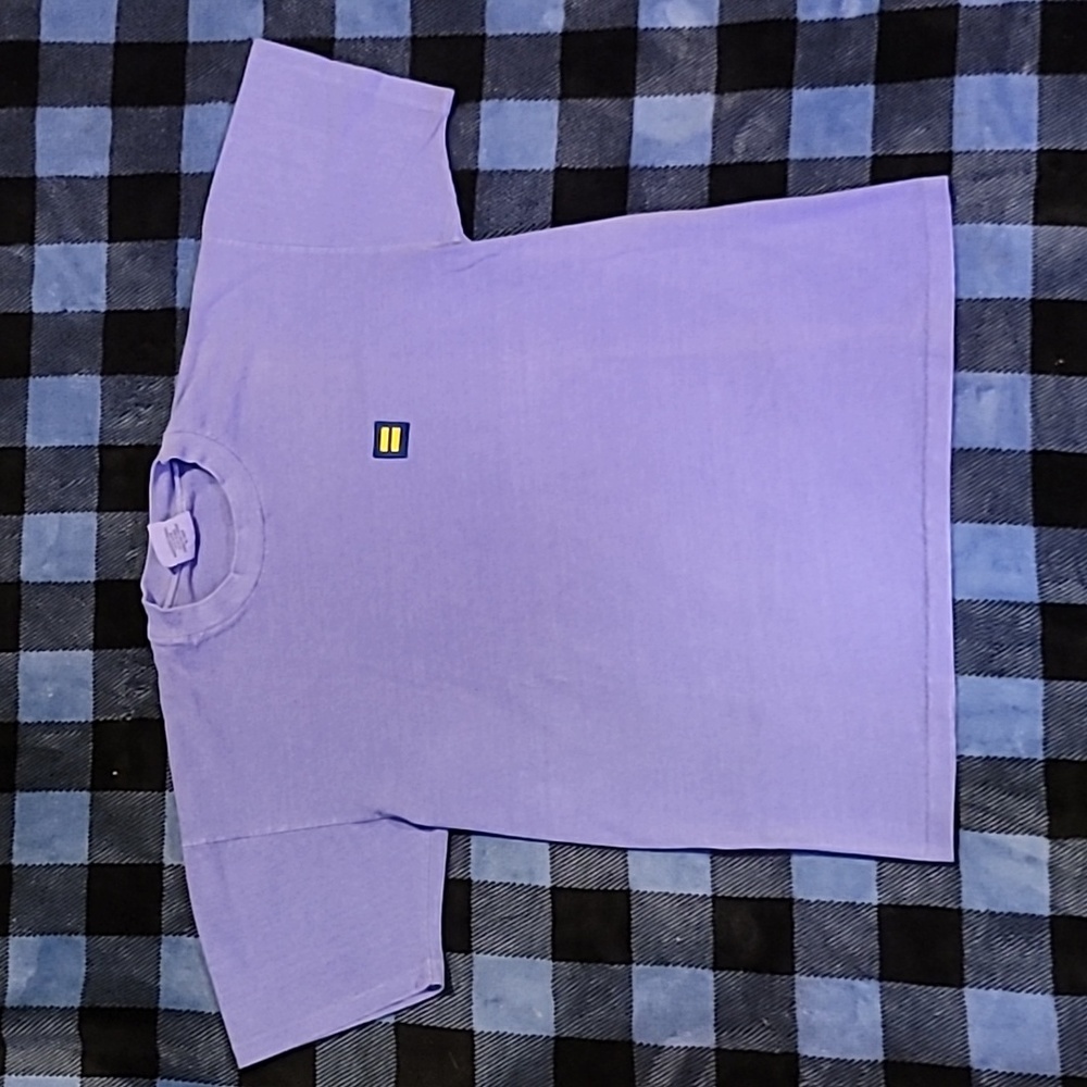 Singlestitch.  Made in USA. Anvil Pigment-dyed. EQUALITY. Size M